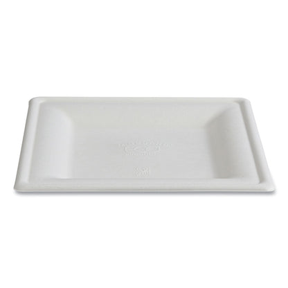 eco-products®-vanguard-renewable-and-compostable-sugarcane-plates-10-x-10-white-250-carton-ecoepp023nfa_10