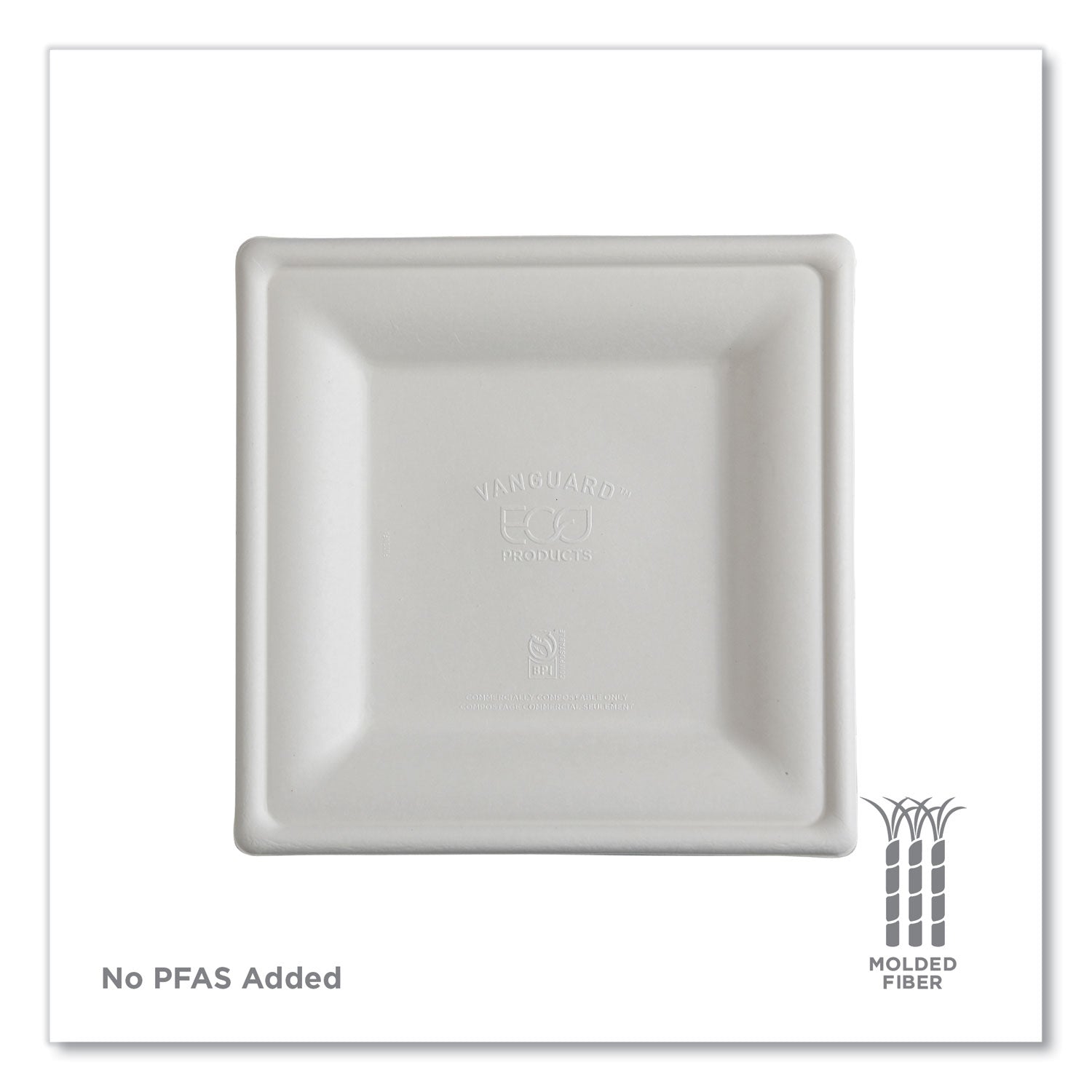 eco-products®-vanguard-renewable-and-compostable-sugarcane-plates-10-x-10-white-250-carton-ecoepp023nfa_11