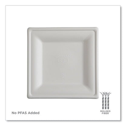 eco-products®-vanguard-renewable-and-compostable-sugarcane-plates-10-x-10-white-250-carton-ecoepp023nfa_11