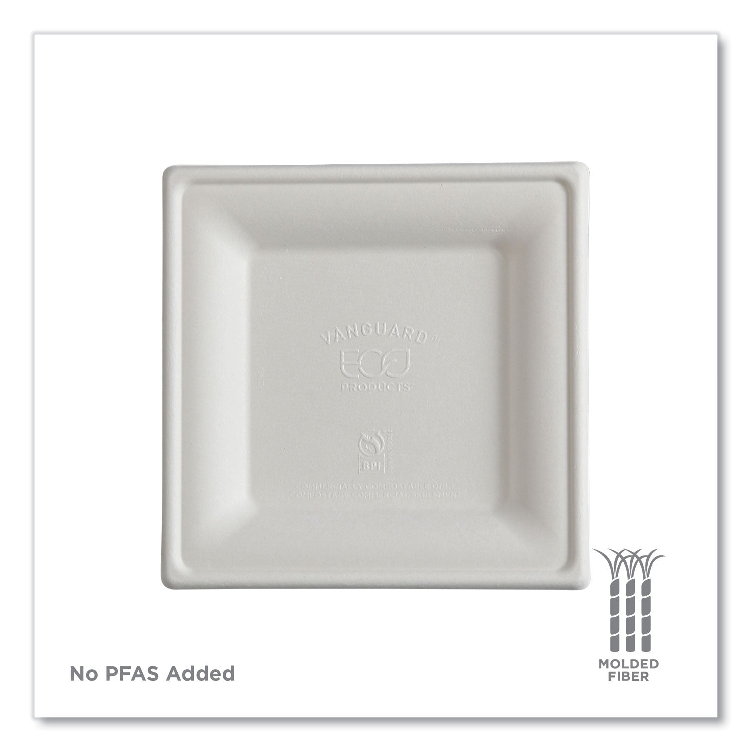 eco-products®-vanguard-renewable-and-compostable-sugarcane-plates-6-x-6-white-500-carton-ecoepp021nfa_11
