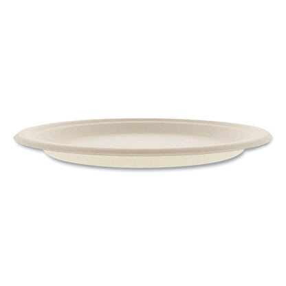 boardwalk-bagasse-pfas-free-dinnerware-num-bwkplate10npfa_2