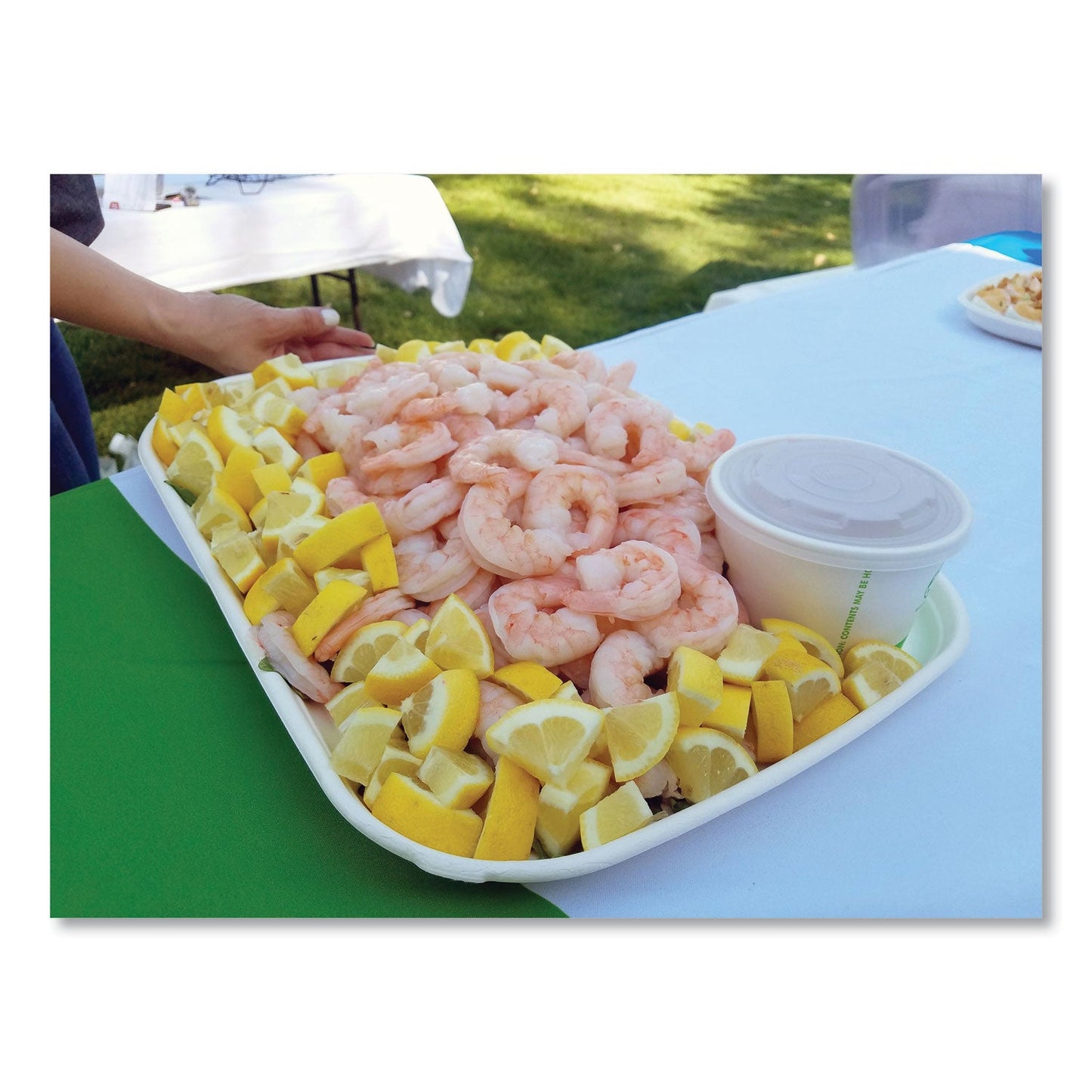 eco-products-regalia-renewable-and-compostable-sugarcane-tray-num-ecoepsctr1317_5