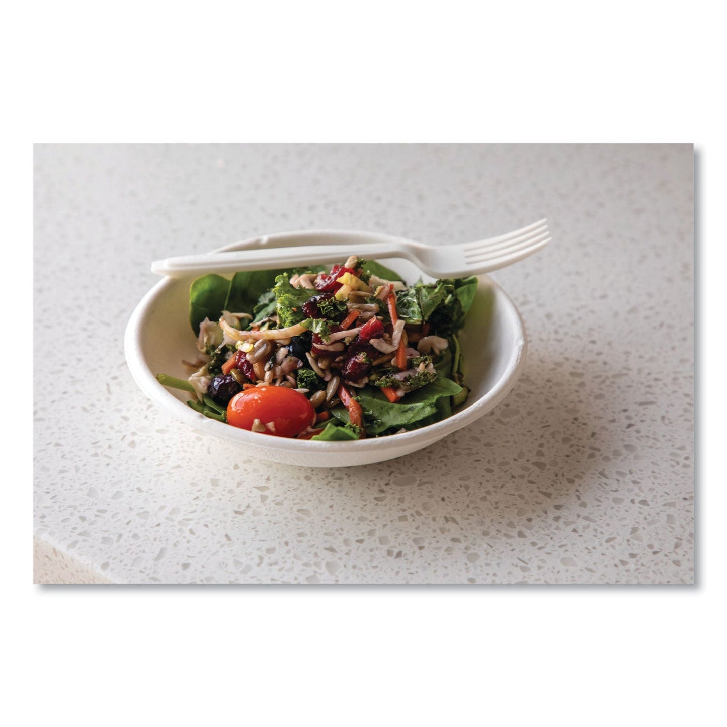 eco-products-vanguard-renewable-and-compostable-sugarcane-bowls-num-ecoepbl12nfa_6