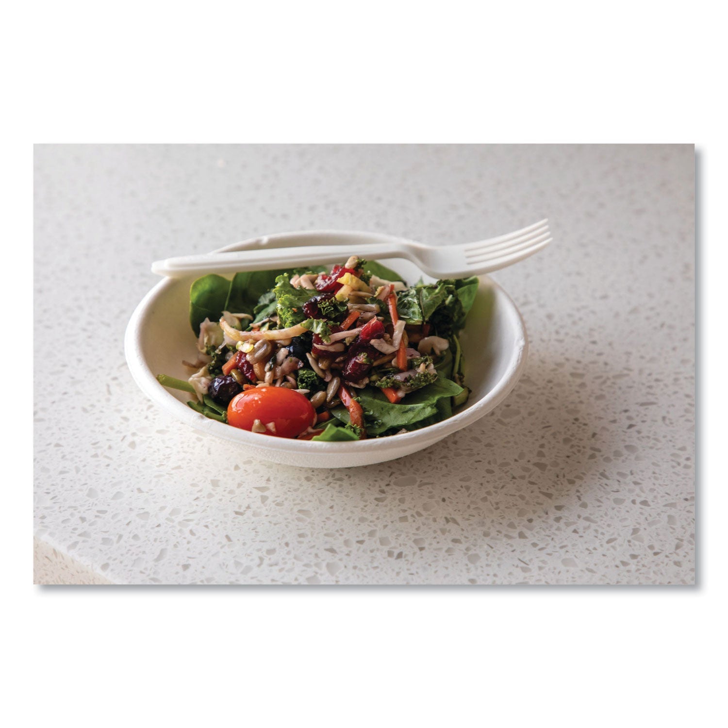 eco-products-vanguard-renewable-and-compostable-sugarcane-bowls-num-ecoepbl12nfa_6
