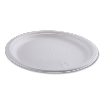 eco-products-vanguard-renewable-and-compostable-sugarcane-plates-num-ecoepp005nfa_4