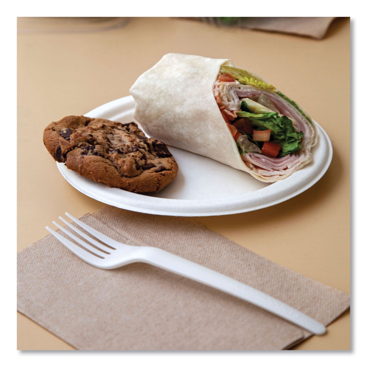 eco-products-vanguard-renewable-and-compostable-sugarcane-plates-num-ecoepp013nfa_5
