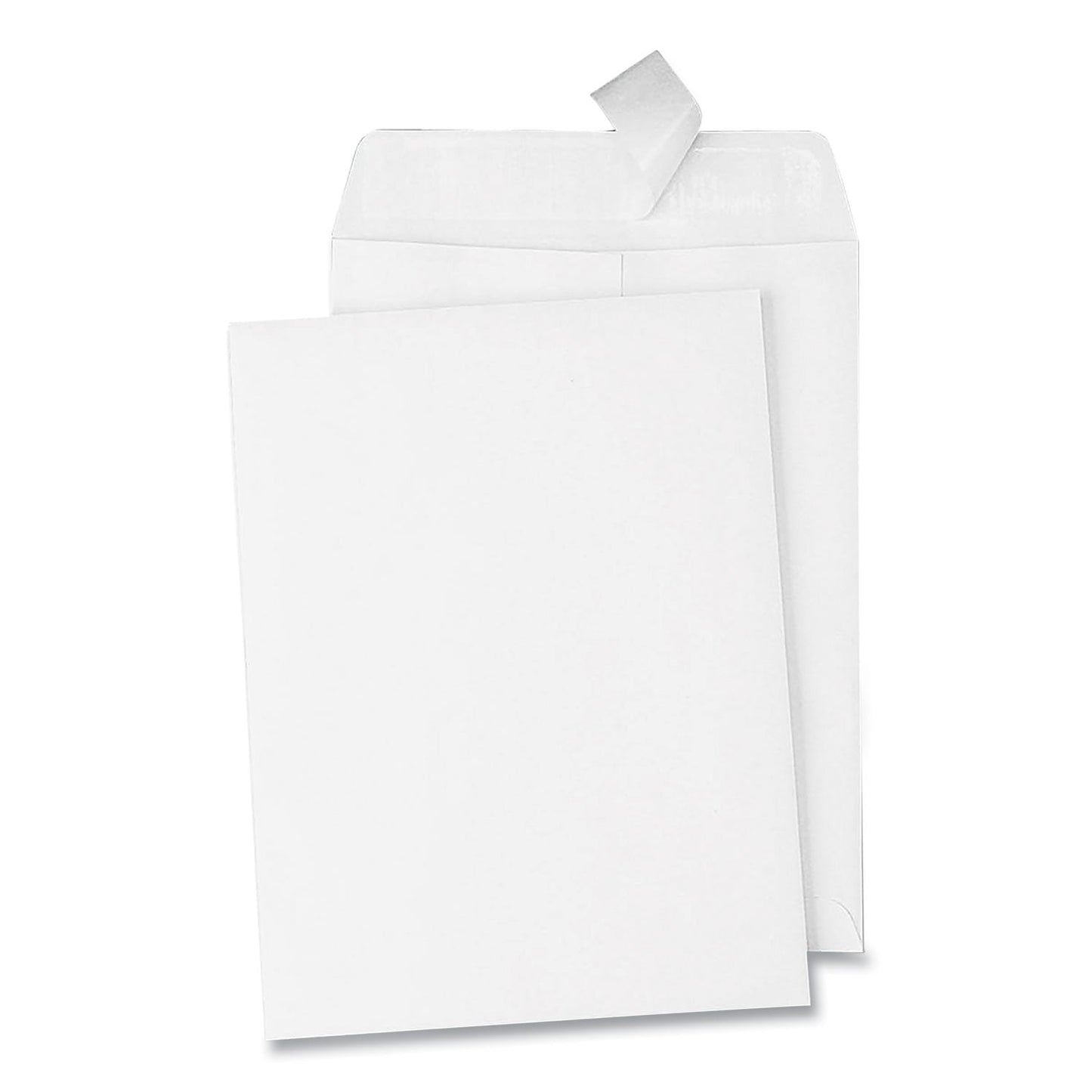 quality-park-redi-strip-catalog-envelope-num-qua44182_1