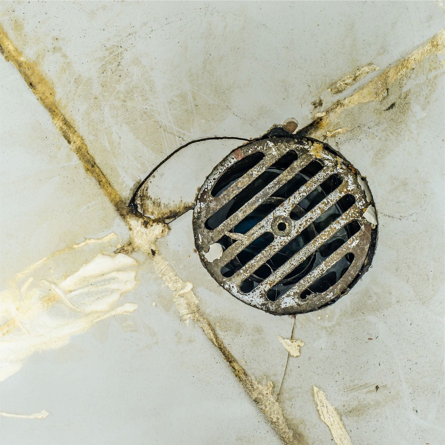 betco-green-earth-push-enzyme-multipurpose-cleaner-lemon-and-sage-scent-1-gal-bottle-4-carton-bet26070400_4