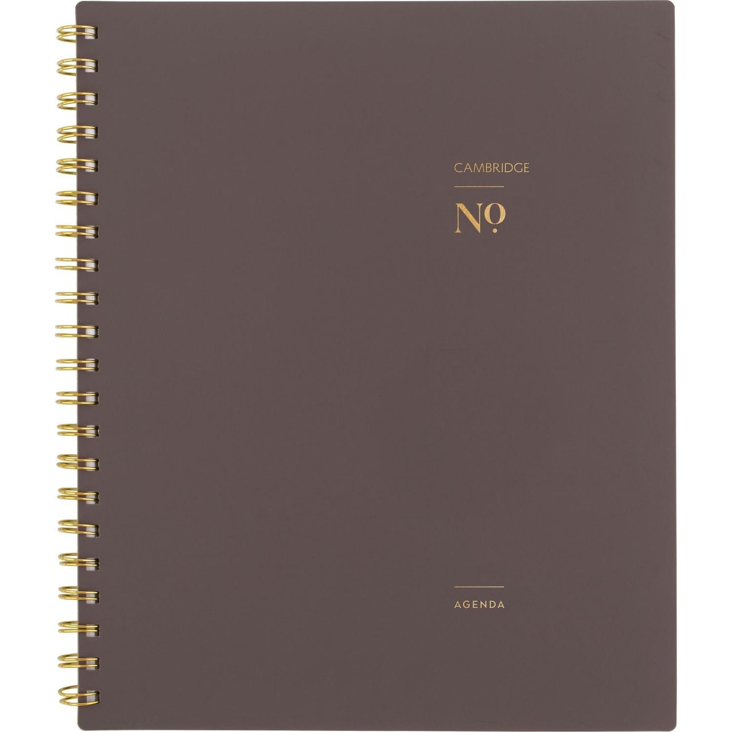cambridge-workstyle-weekly-monthly-planner-11-x-9-38-brown-gold-cover-12-month-jan-to-dec-2025-aag160690504_1