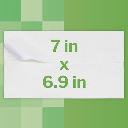 McKesson Flushable Personal Wipe Soft Pack Unscented 48 Count (1241749_PK)