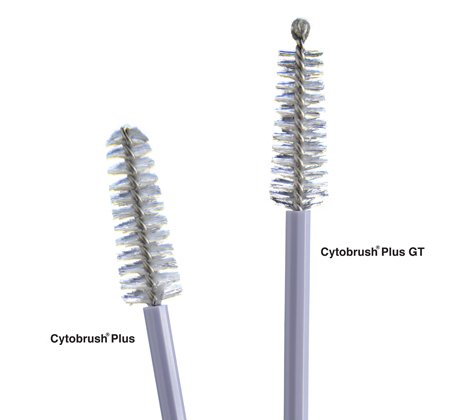 Cytobrush® Plus GT Cytology Brush 196 mm Length (705600_BX)