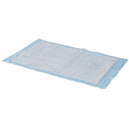 Simplicity™ Basic Disposable Underpad 23 X 24 Inch Fluff Light Absorbency (550092_BG)