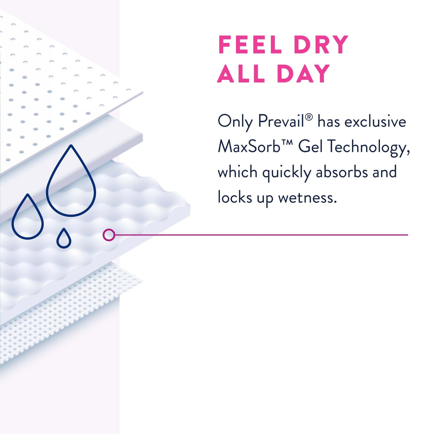 Prevail® Daily Underwear Female Adult Absorbent Underwear Pull On with Tear Away Seams 2X-Large Disposable Heavy Absorbency (1126187_BG)