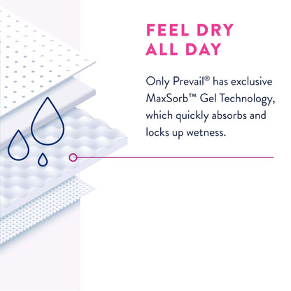 Prevail® Daily Underwear Female Adult Absorbent Underwear Pull On with Tear Away Seams 2X-Large Disposable Heavy Absorbency (1126187_BG)