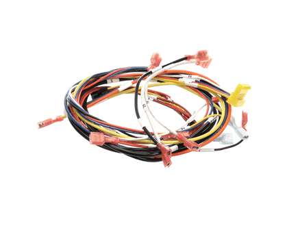 Antunes 0700975 Wire Set, Dual Eggstation (AJA0700975)