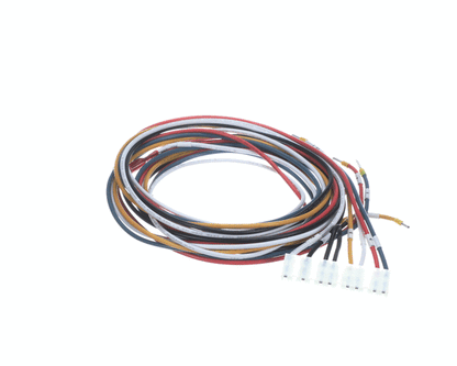 Alto Shaam 5028831 Cable, Combined Gas Valve & (ALT5028831)