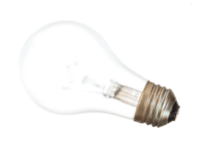 Alto Shaam Lp-33598 Lamp,60W,130V,A19 Style,Coated (ALTLP-33598)