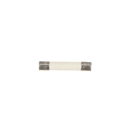 Amana Menumaster 20034003 Fuse-20A Td (AMA20034003)