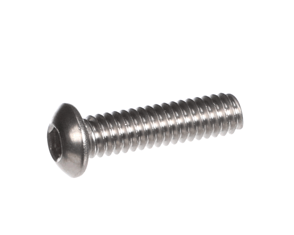 AM Manufacturing F0404Sb Bottom Head Screw (AMMF0404SB)