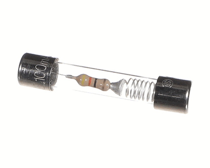 Amerec 3100-10 Fuse, 1Ooma 250V Slow Blow (AMRC3100-10)