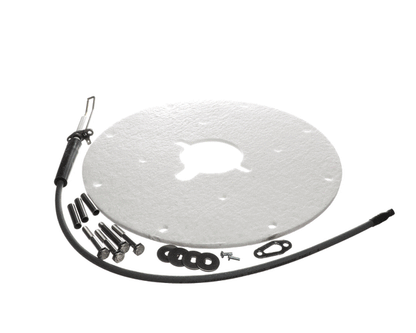 AO Smith Water Heater 100271889 K,Spark Igniter Assy(Angled) (AOSM100271889)
