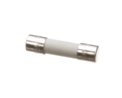 APW Wyott 2E-1503050 Fuse 10 Amp (APW2E-1503050)