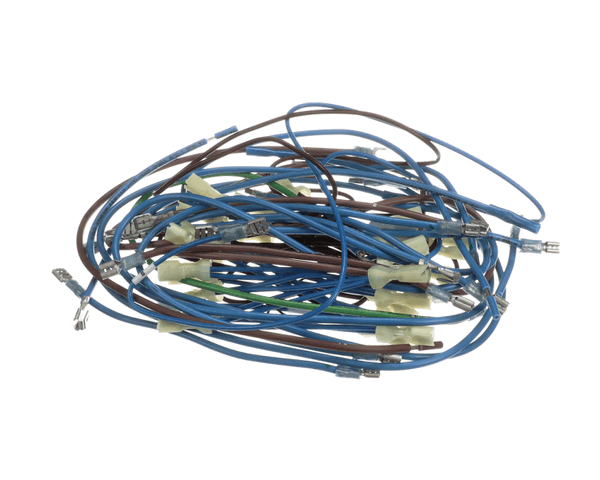 APW Wyott 2E-21831976 Wire Harness; Hrs-75;5T (APW2E-21831976)