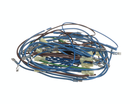 APW Wyott 2E-21831976 Wire Harness; Hrs-75;5T (APW2E-21831976)