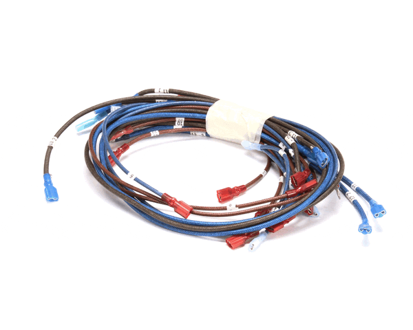 APW Wyott 2E-21851492 Harness (APW2E-21851492)