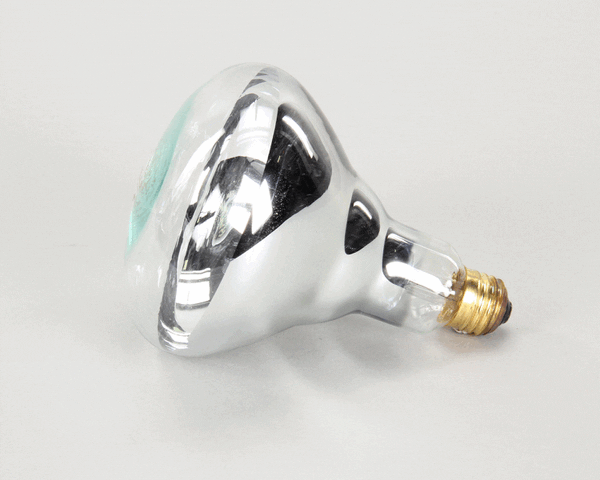 APW Wyott 2E-75410 Lamp, 250W, Philips #250Br40/1 (APW2E-75410)