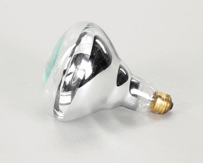 APW Wyott 2E-75410 Lamp, 250W, Philips #250Br40/1 (APW2E-75410)