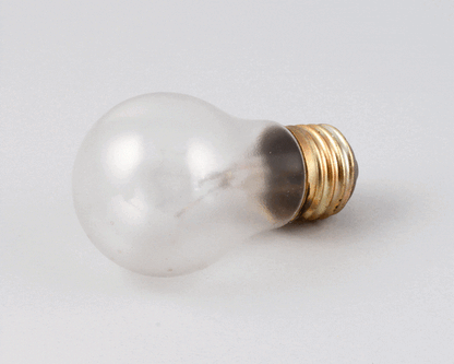 APW Wyott 2S-76874 Lamp, Coated 240V 40W #40A15Fr (APW2S-76874)