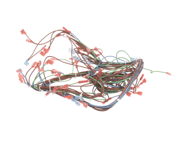 APW Wyott As-21818762 Harness, Wire Bco-G Gdco-G Ra (APWAS-21818762)