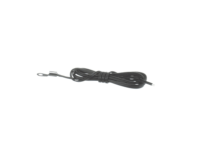 Armstrong International Armstrong International D10870 Thermistor For Hc6000 Series (ARIND10870)