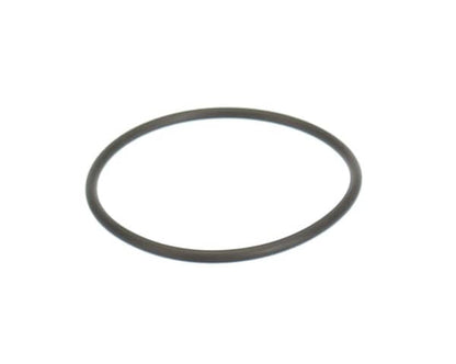 Astoria 12300000 O-Ring (ATO12300000)