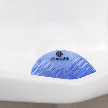 Hospeco® AirWorks® Urinal Screen, 10/Box, Eucalyptus (HOSAWUS001-BX)