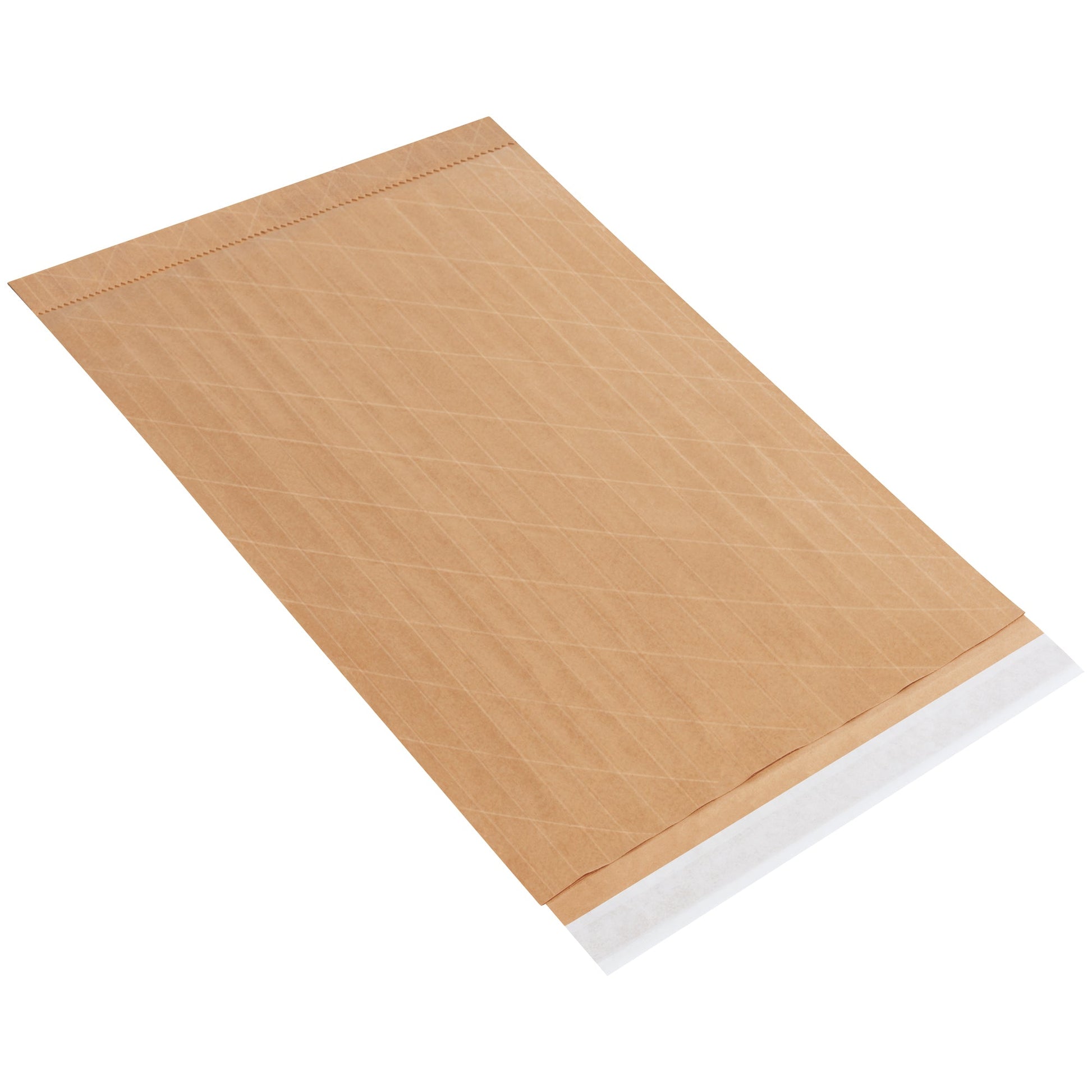 14-1-2-x-20-7-self-seal-nylon-reinforced-mailers-b890ss_1