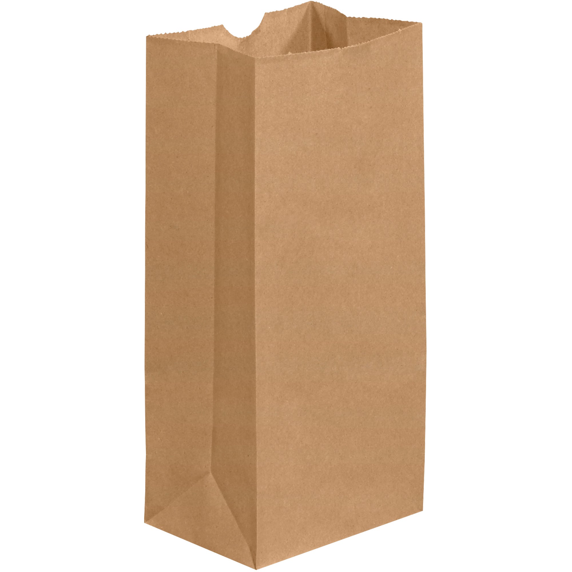 5-x-3-1-4-x-9-3-4-kraft-grocery-bags-bgg103k_1
