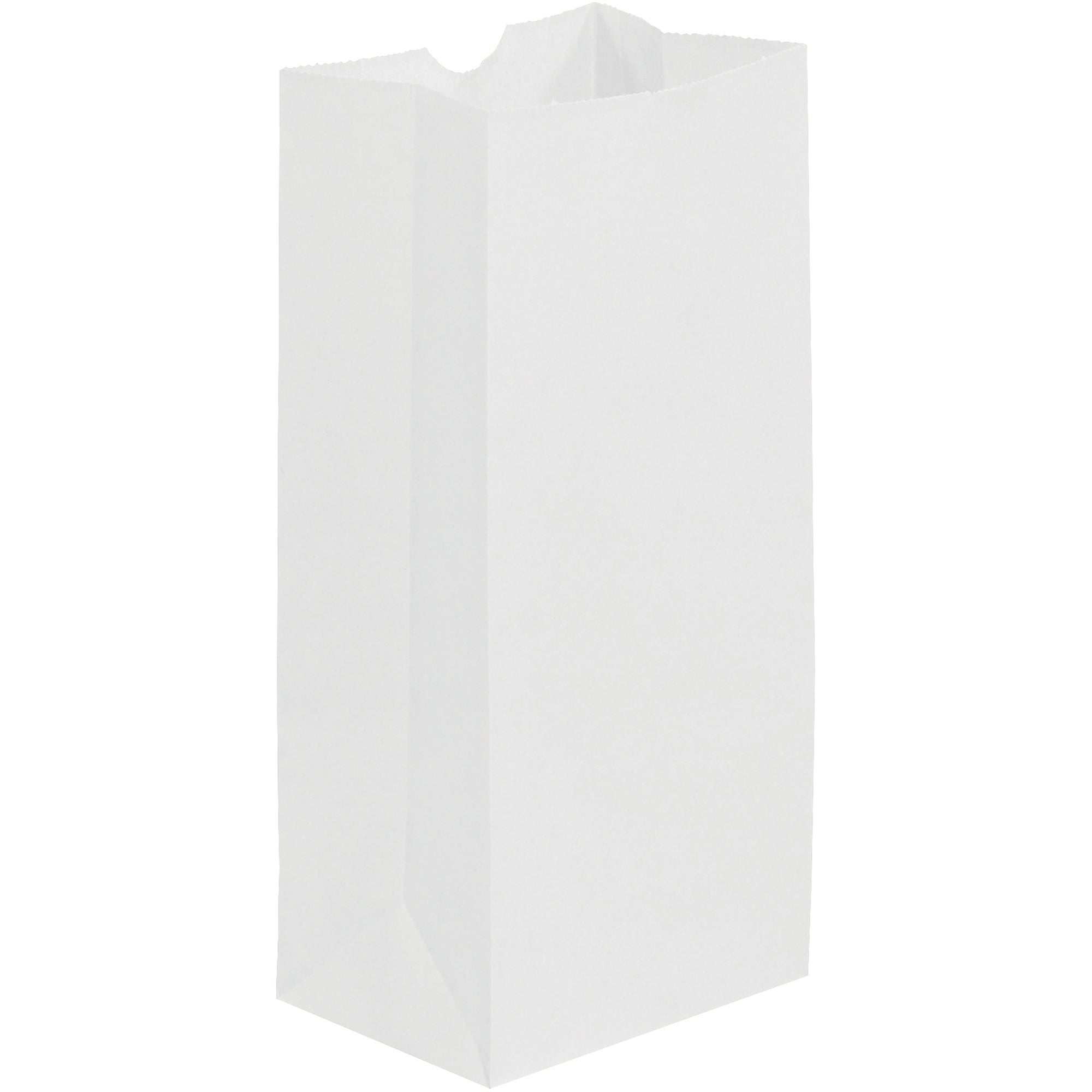 5-x-3-1-4-x-9-3-4-white-grocery-bags-bgg103w_1