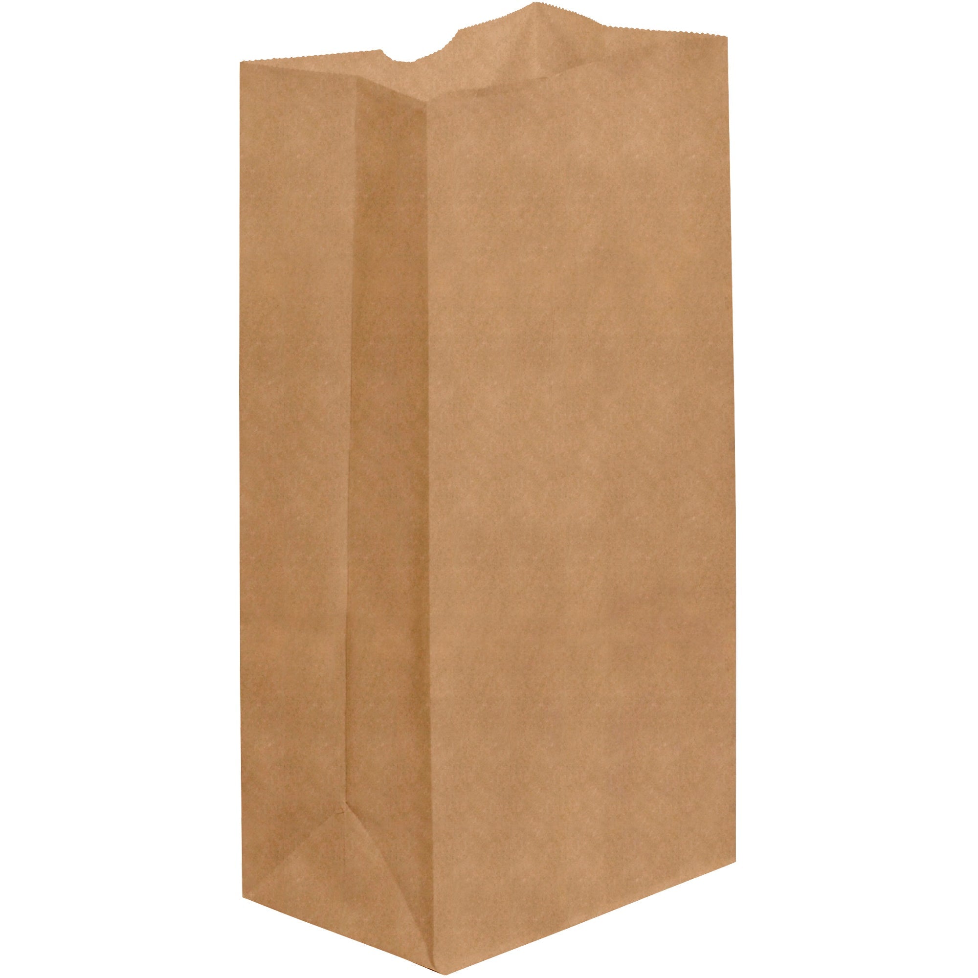 7-1-8-x-4-1-2-x-13-3-4-kraft-grocery-bags-bgg107k_1