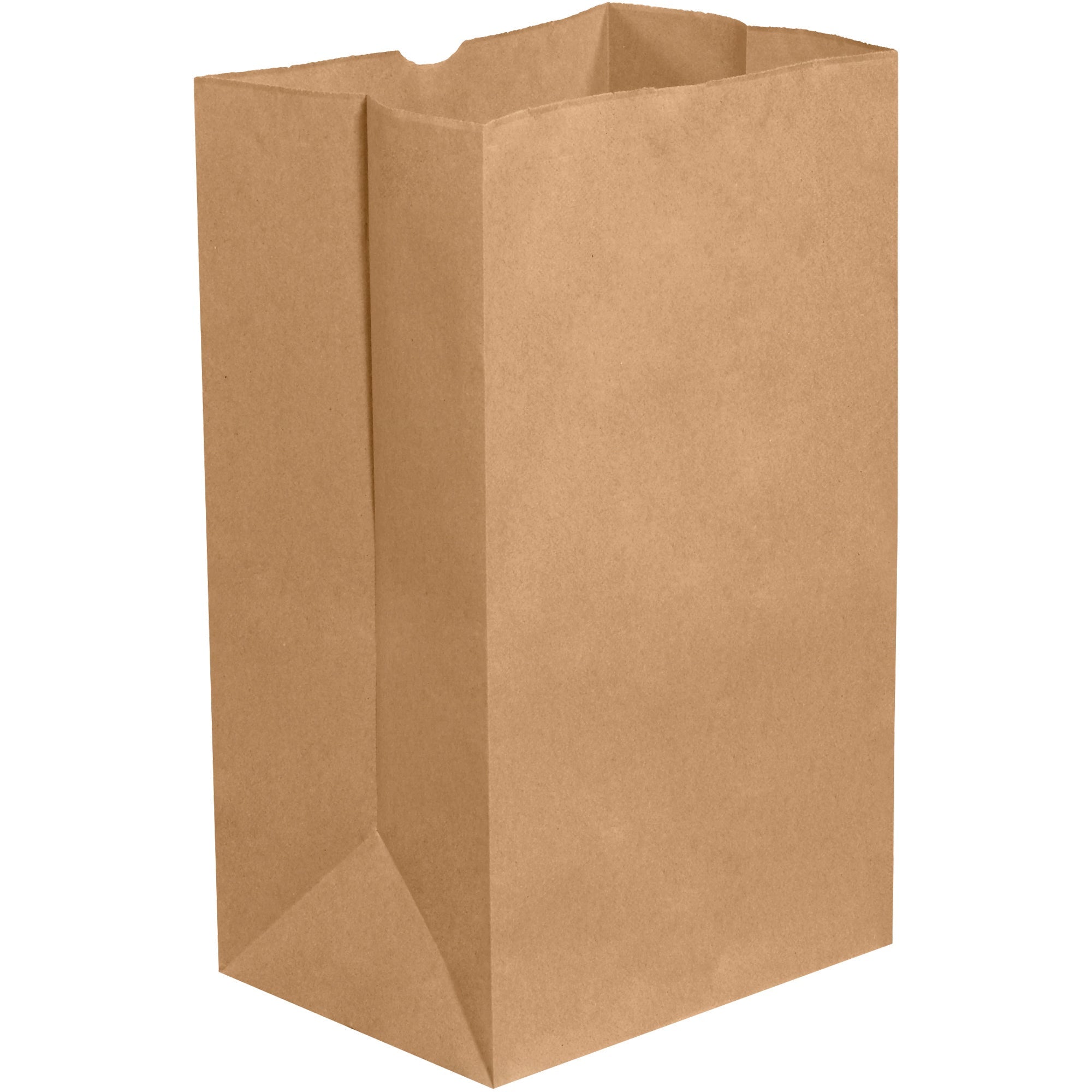 12-x-7-x-17-kraft-grocery-bags-bgg110k_1