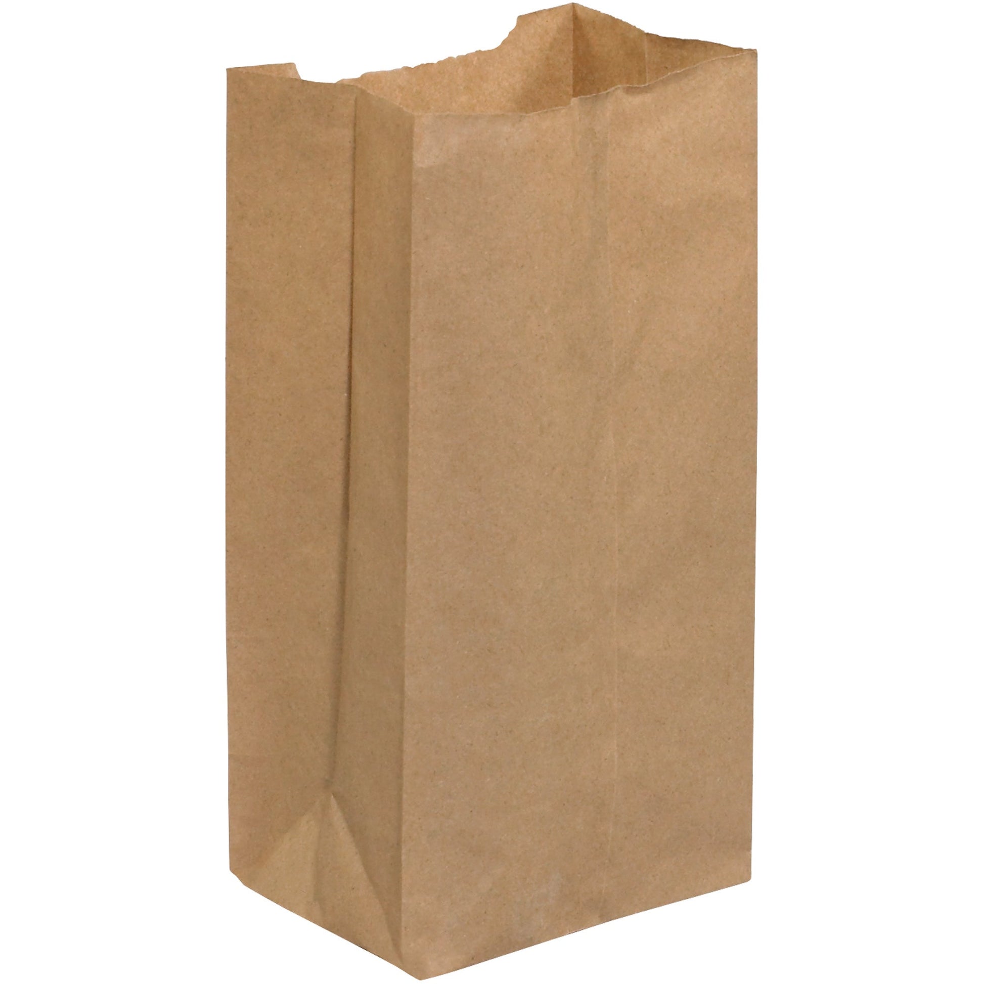 4-3-4-x-2-15-16-x-8-9-16-kraft-grocery-bags-bgg115k_1