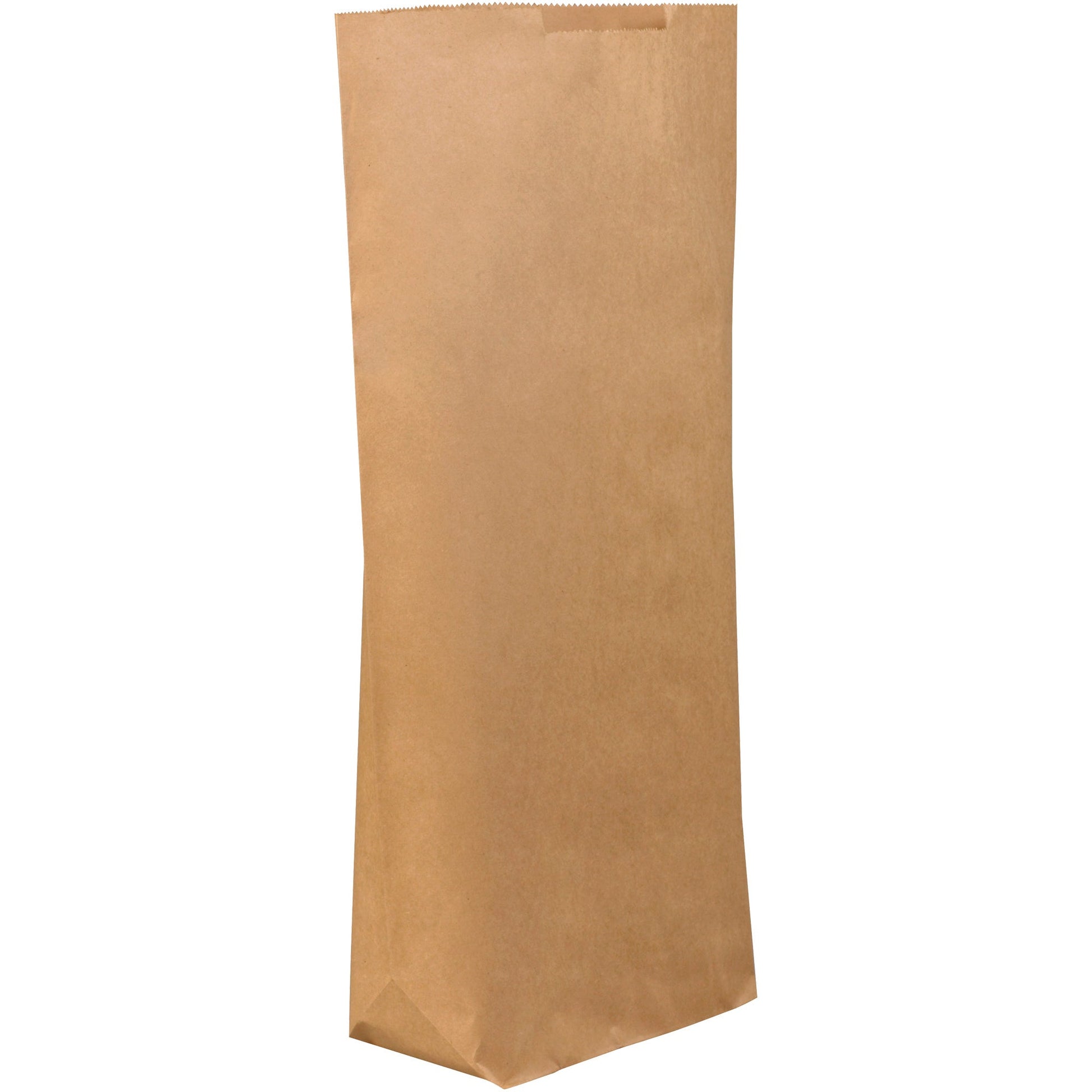 17-x-6-x-29-1-2-kraft-grocery-bags-bgg121k_1