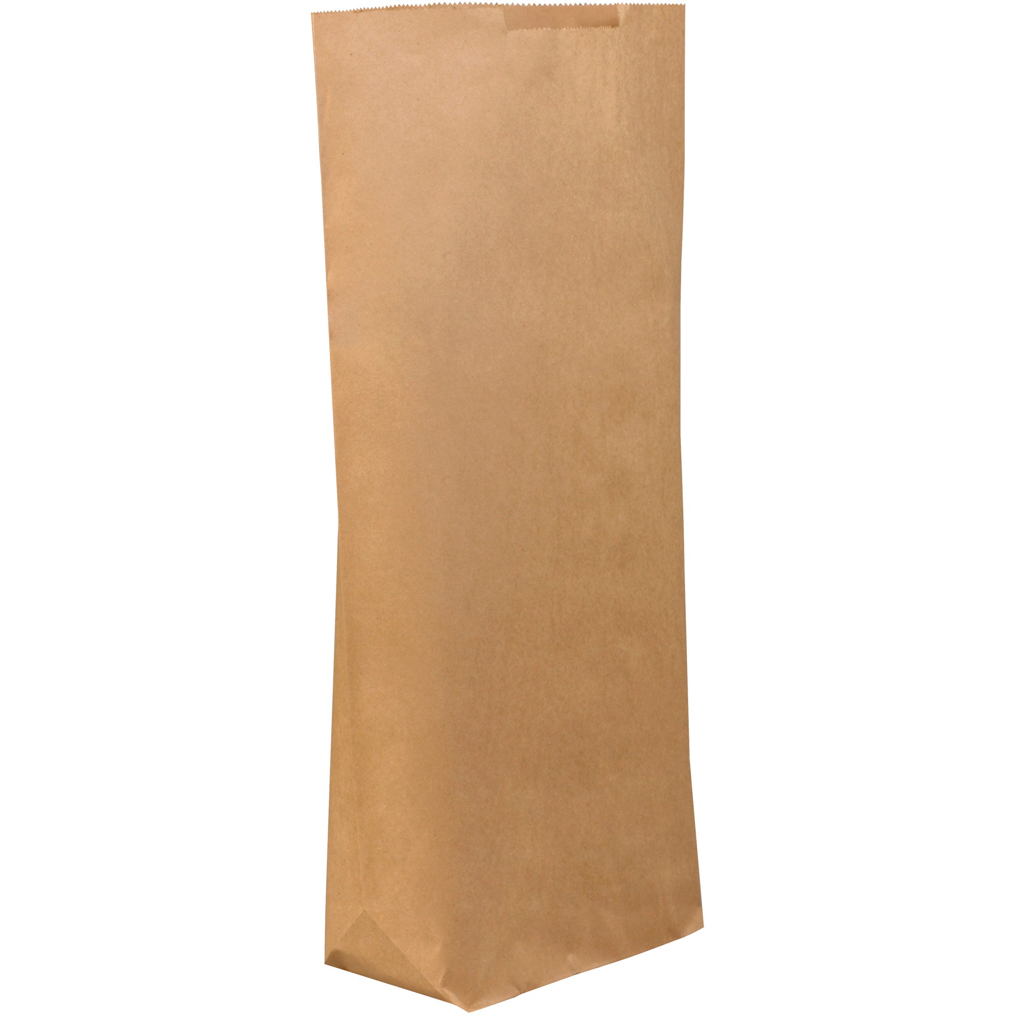 17-x-6-x-29-1-2-kraft-grocery-bags-bgg121k_1