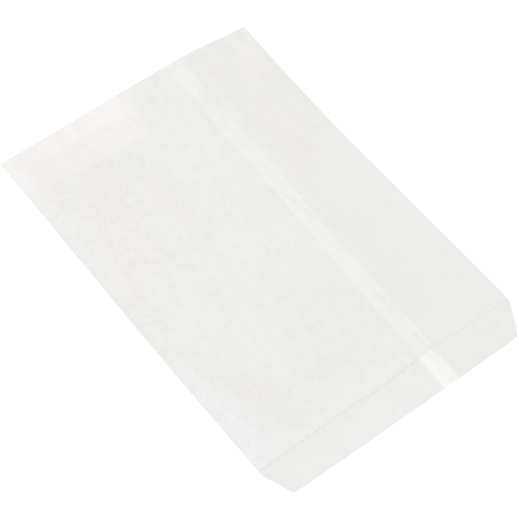 8-1-2-x-11-white-flat-merchandise-bags-bgm103w_1