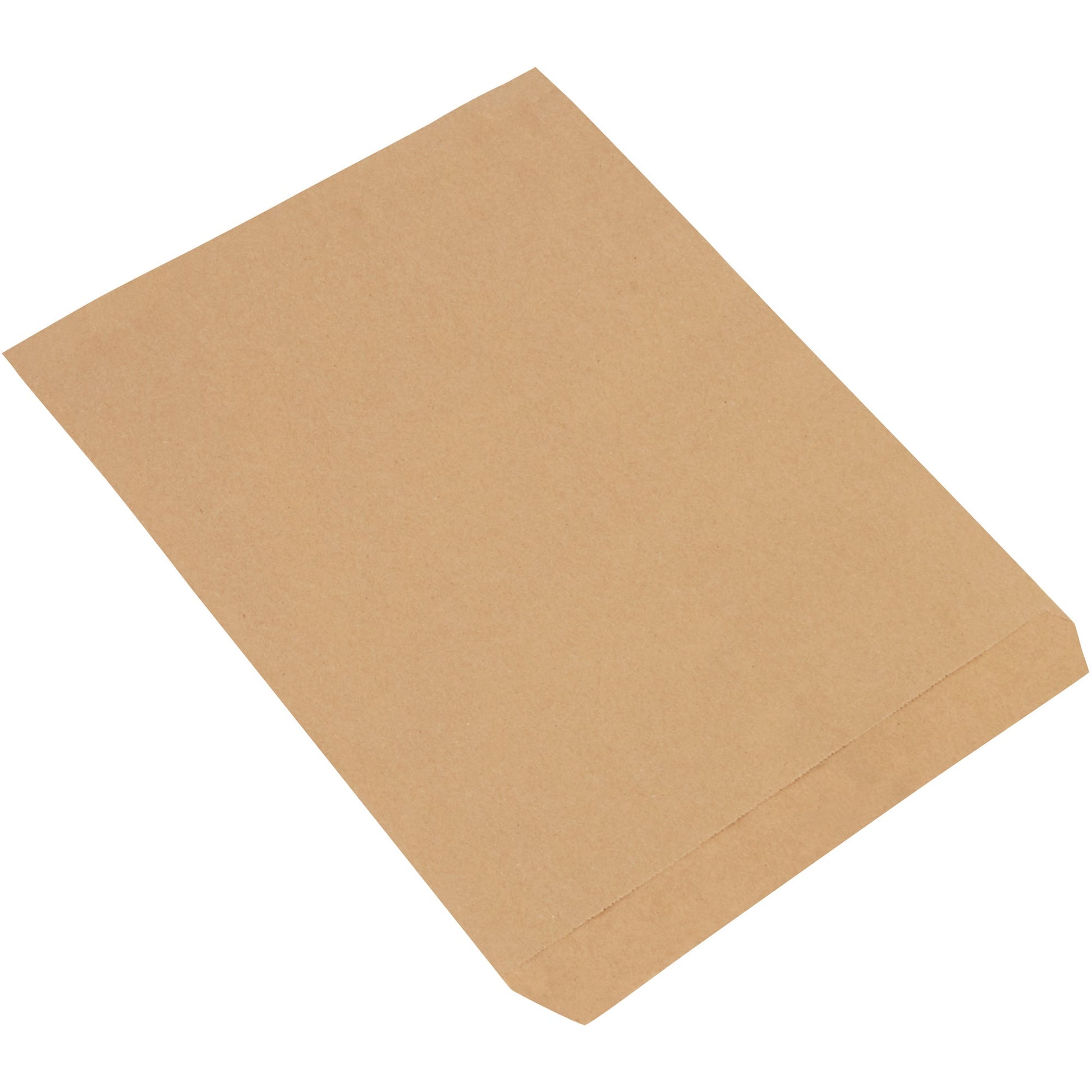12-x-15-kraft-flat-merchandise-bags-bgm105k_1