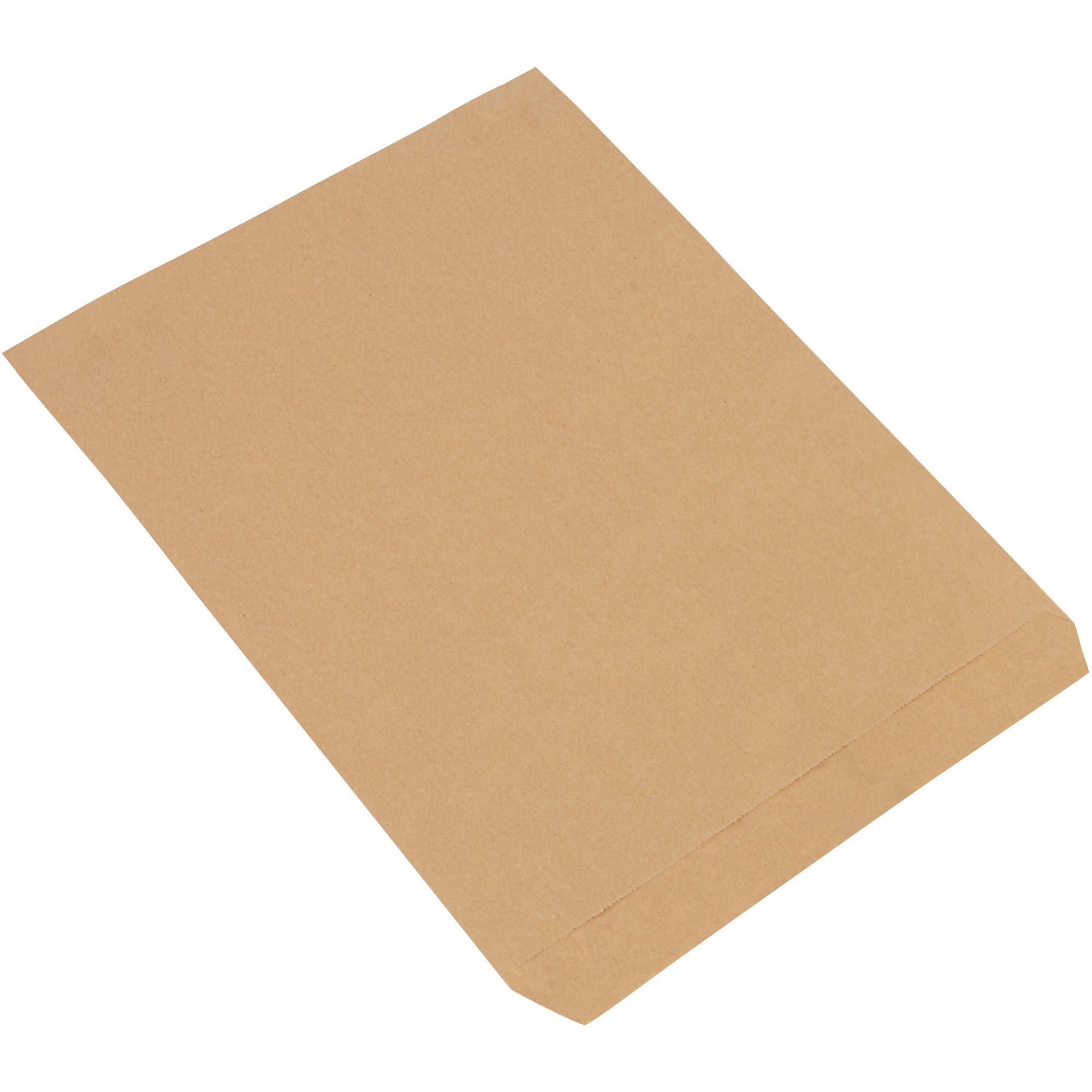 12-x-15-kraft-flat-merchandise-bags-bgm105k_1