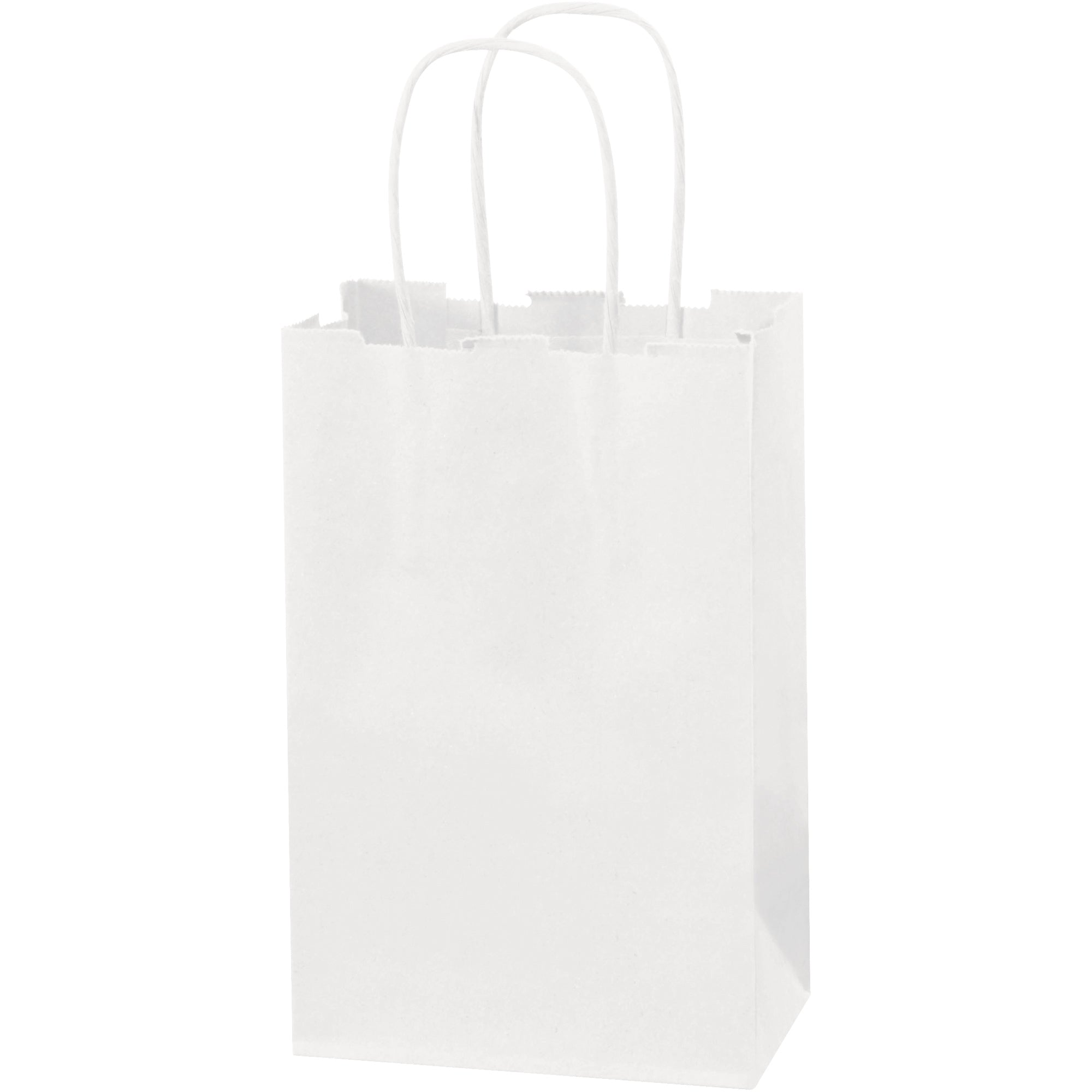 5-1-2-x-3-1-4-x-8-3-8-white-paper-shopping-bags-bgs101w_1