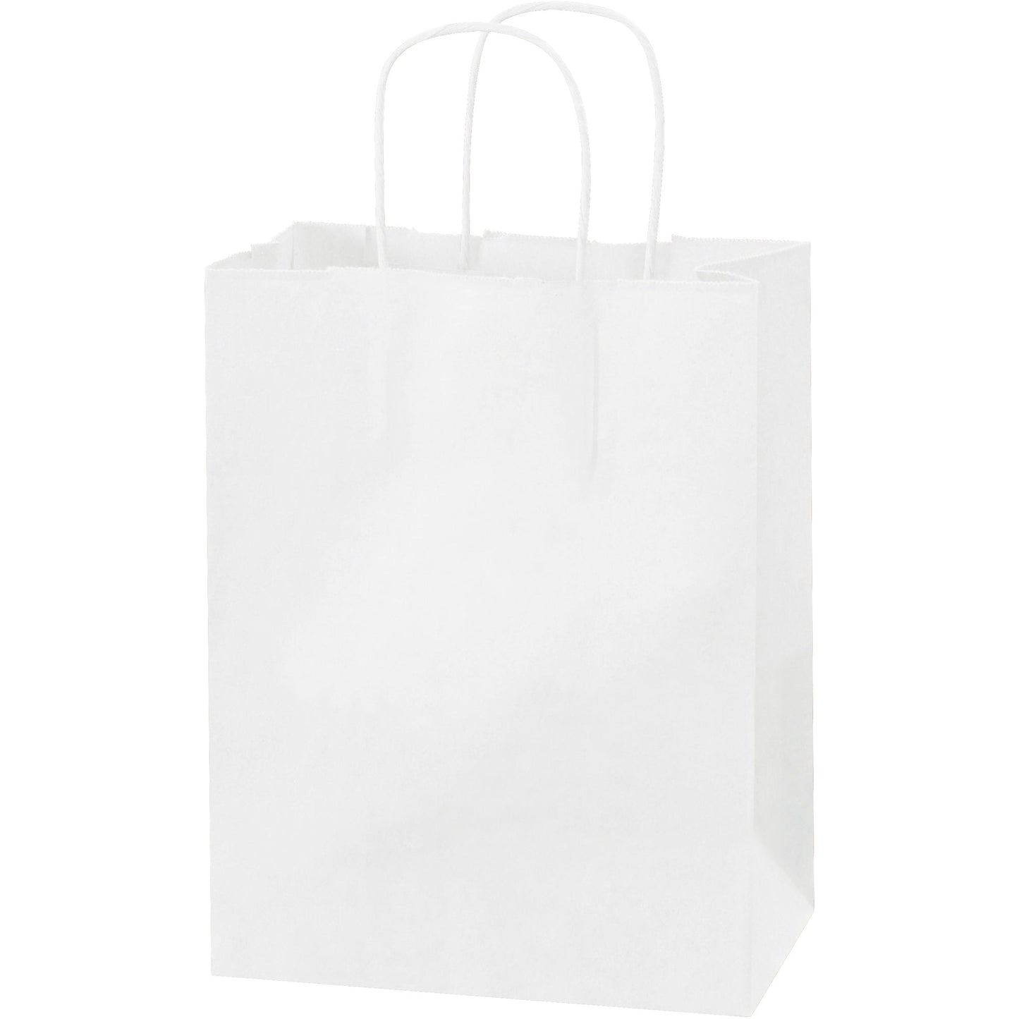 8-x-4-1-2-x-10-1-4-white-paper-shopping-bags-bgs103w_1