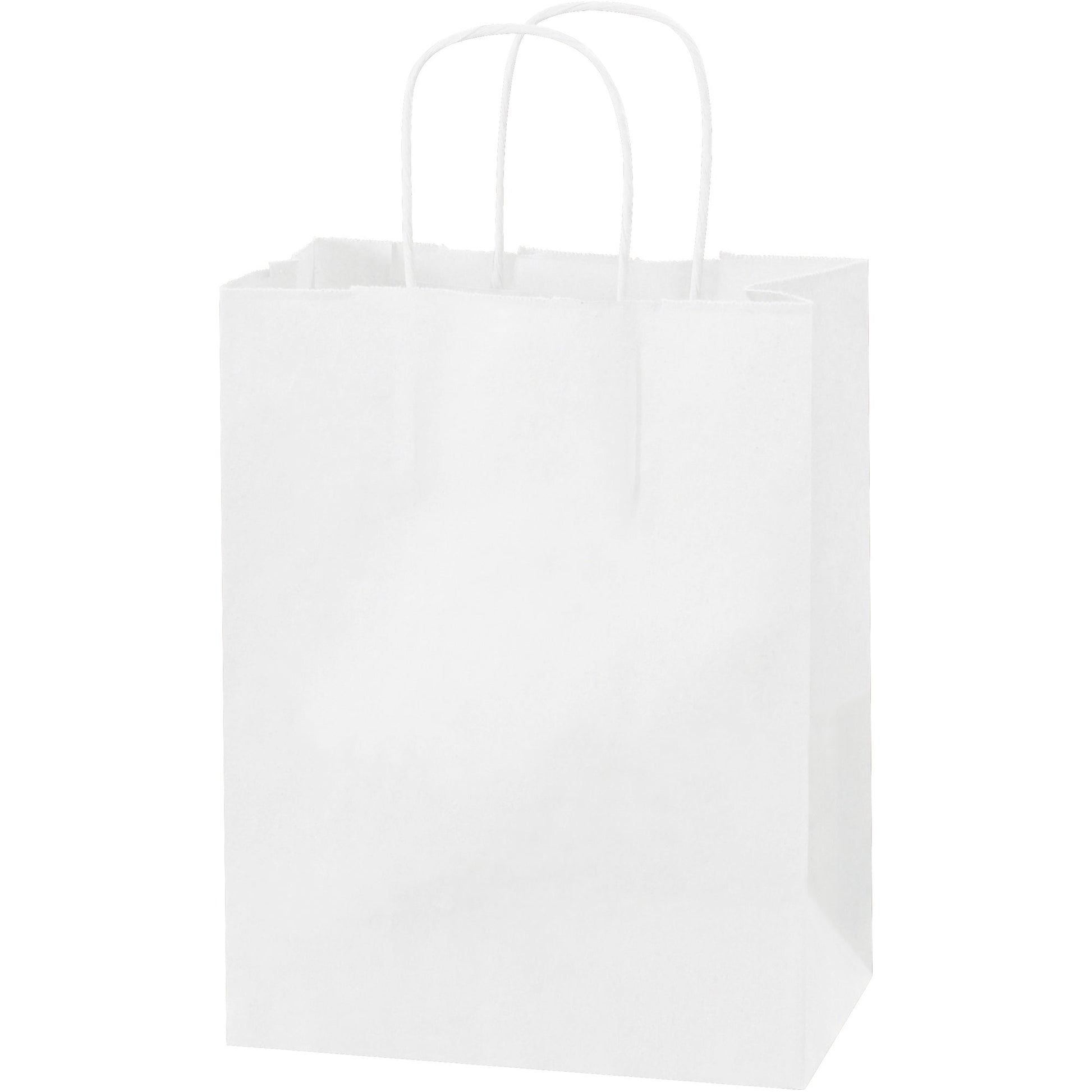 8-x-4-1-2-x-10-1-4-white-paper-shopping-bags-bgs103w_1